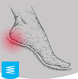 heel_energy_absorption